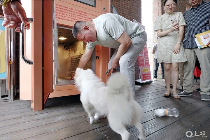 自助洗寵機開始在上海試水溫   寵物經濟再開新賽道