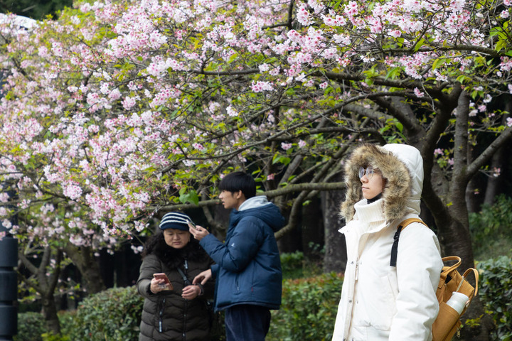 今天稍回暖早晚仍低溫　明又有冷氣團來襲中部以北有雨