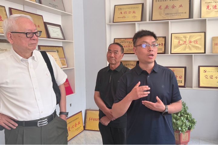 一根紋黨參串起三代人夢想　甘肅文縣產業升級的見證