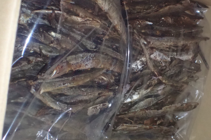 邊境檢驗再建功！日本秋刀魚乾驗出一級致癌物超標40倍　全數退運銷毀
