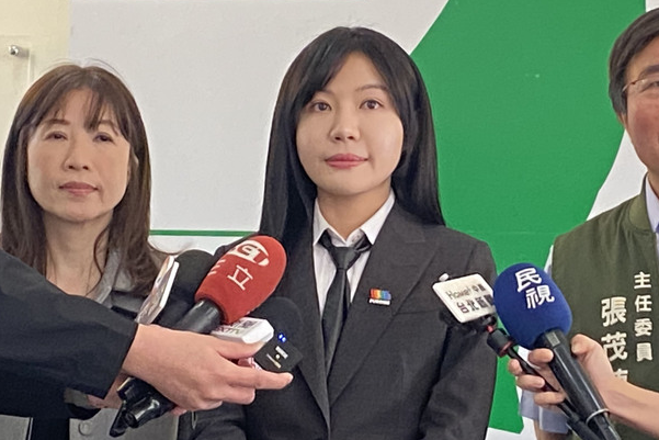 綠地方黨部主委迎改選　北市、南市各有這些人參戰 