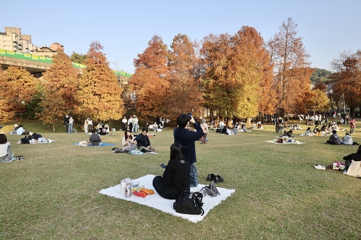 2026首颱「洛鞍」生成　今氣溫緩升下周逐日降溫