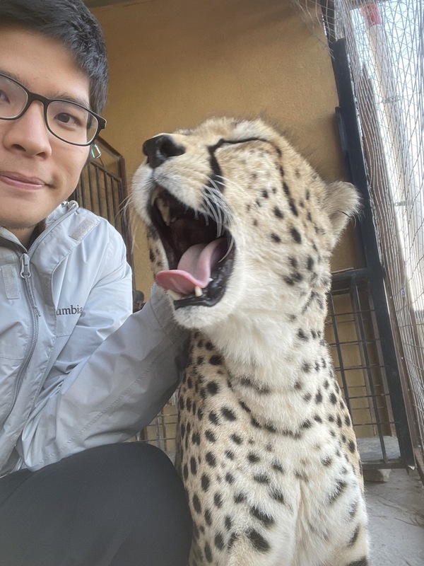 台灣獸醫陳弈凱表示，到索馬利蘭參加國合會計畫，讓他獲得難能可貴的經驗，一次見到許多瀕臨絕種的獵豹。圖/取自中央社