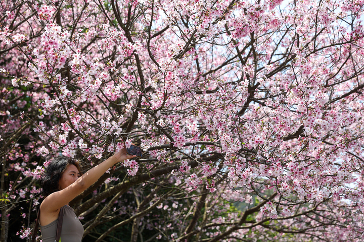 未來一周西半部多雲到晴　北部東半部短暫陣雨