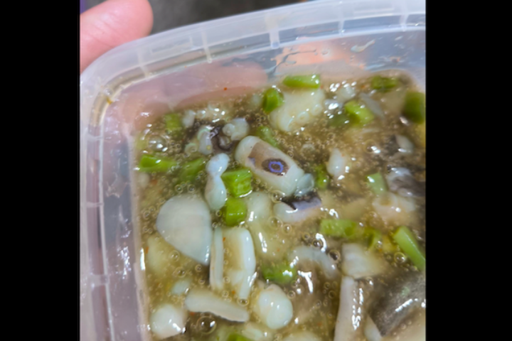 差點命喪餐桌！男子吃下藍環章魚急催吐 醫曝恐怖後果