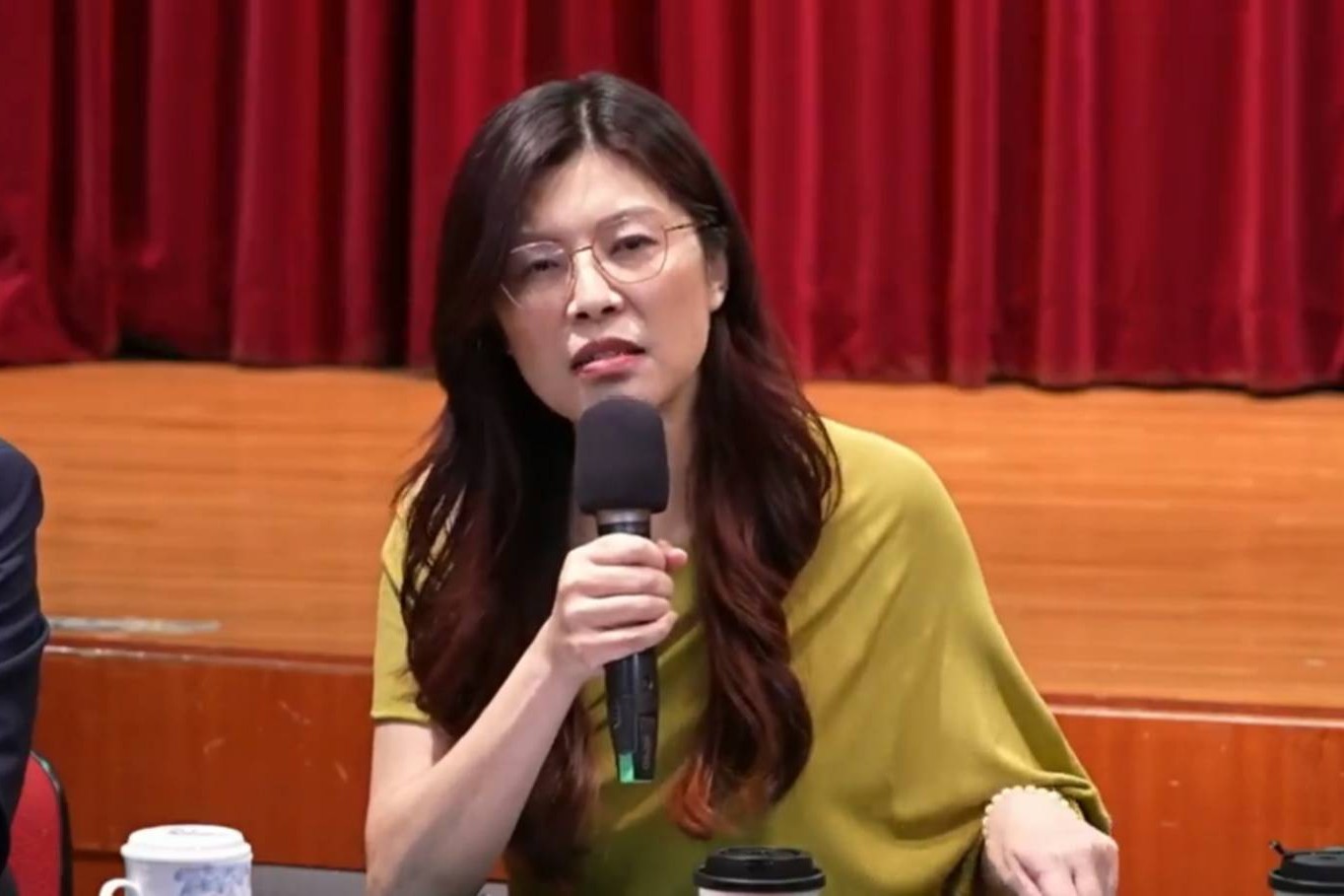 同為民進黨國代一起修憲 鄭麗文：當時修的就是「一中憲法」 賴清德根本「妥妥的統派」