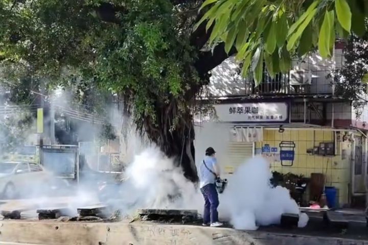 廣州進入「戰蚊時代」越秀區出現屈公病 全市防控一周