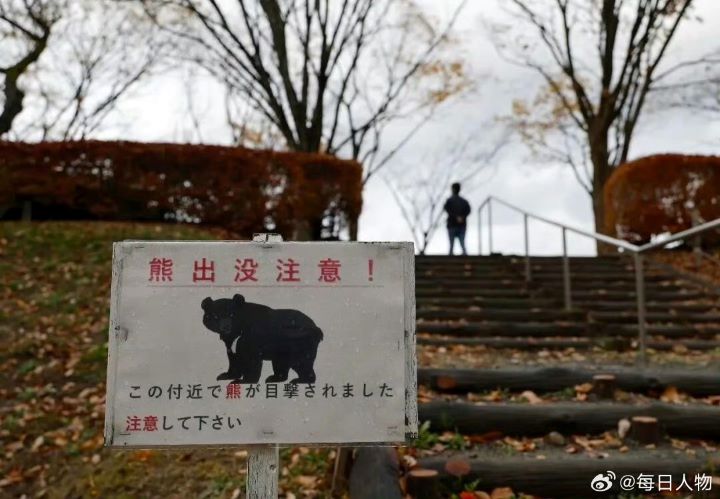 誤打誤撞成日本獵人　90後大陸留學生站上「2025熊災」第一線