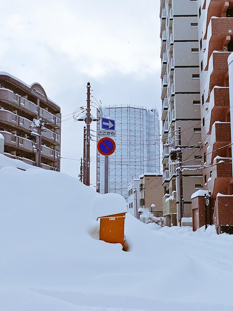 札幌市區部分地區暴雪2日，積雪達80公分。圖/取自ペルシェンベ ベリーダンス《推特》