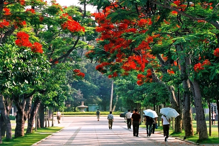 陸宣布「雙一流」大學將擴招10萬人以上