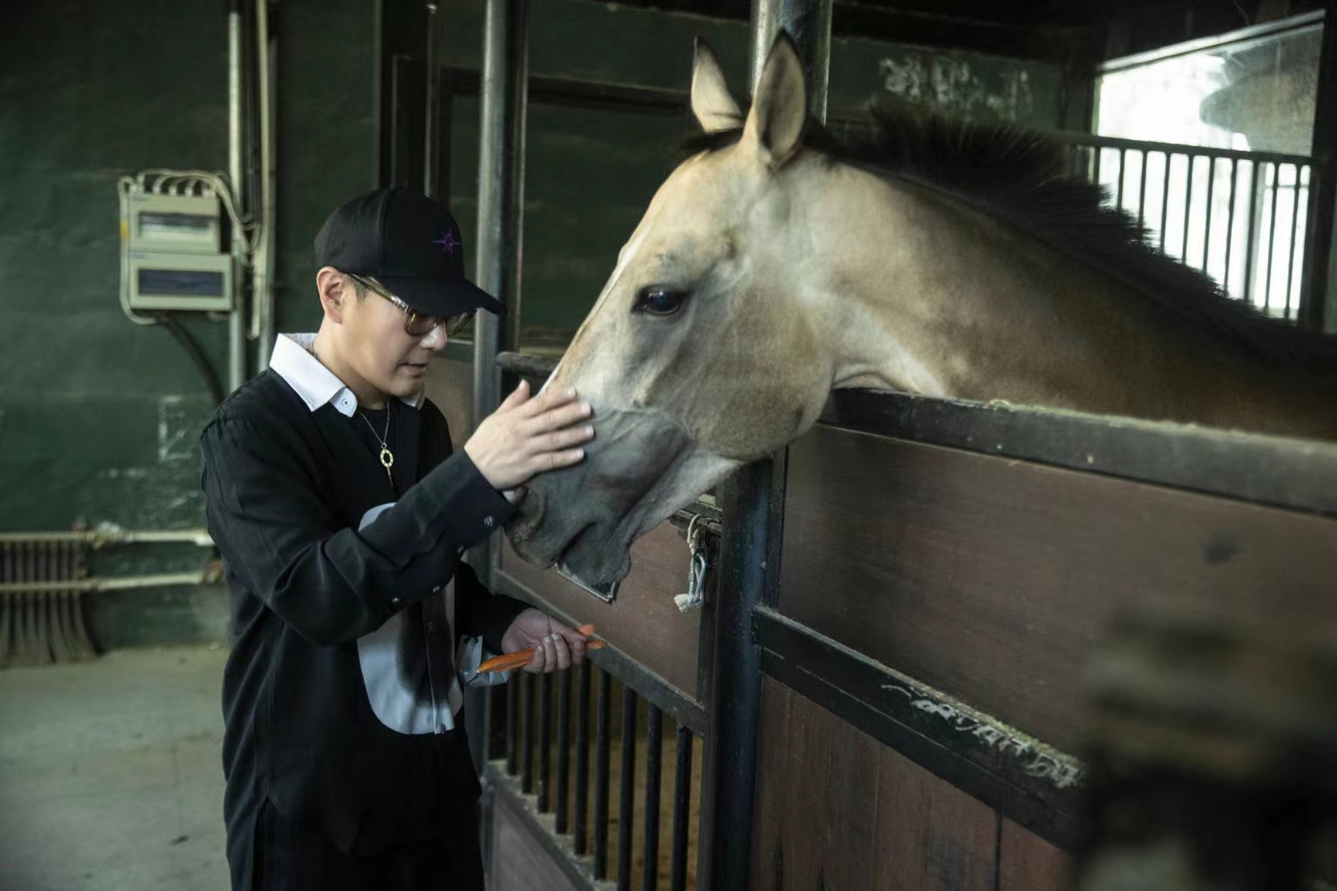 張信哲七夕化身丘比特  首見汗血寶馬本尊超溫馴