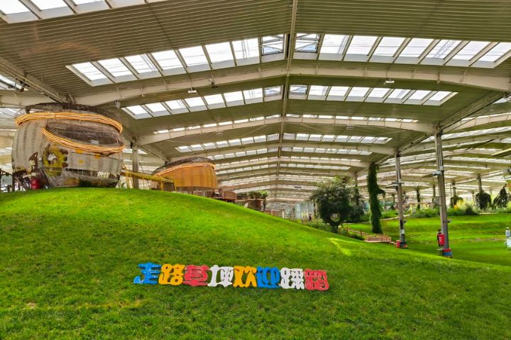 從荒灘到生機盎然大草原　蒙草復育敕勒川草原成生態典範