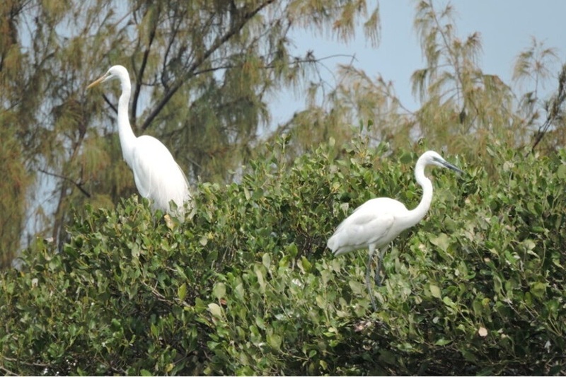 周二前天氣穩定暖熱　周三鋒面影響中部以北雨勢大