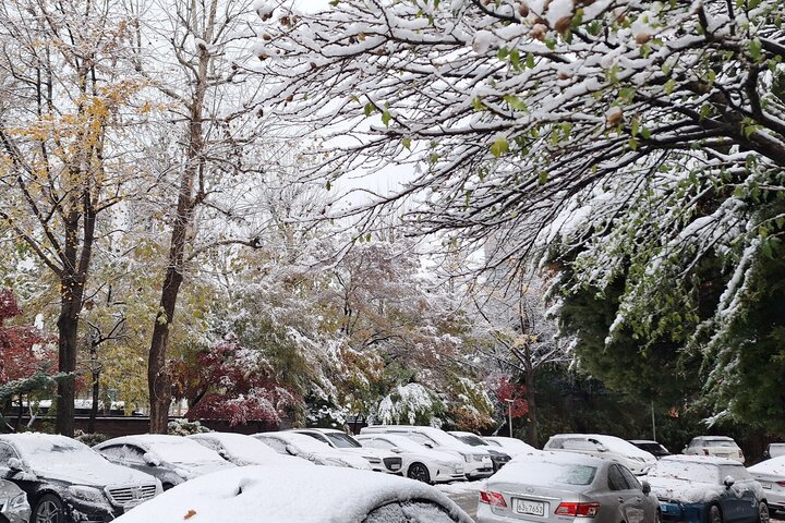 首爾今降初雪創117年來同期最大記錄　多地斷電部份航班取消