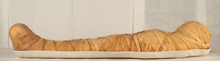 遠赴來台的女性木乃伊© Museo Archeologico Nazionale di Firenze。 圖/時藝多媒體提供