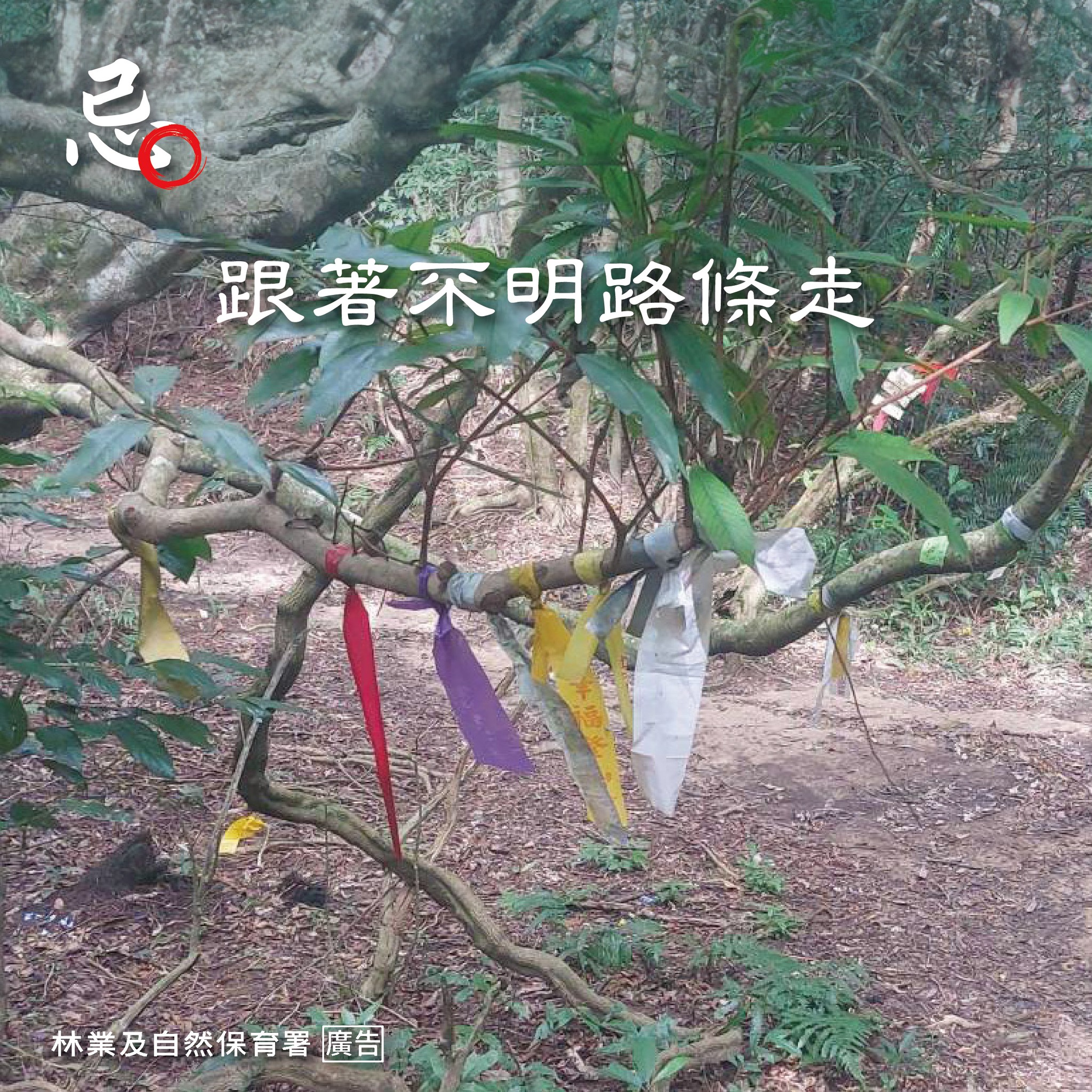 林業署提醒，登山時切勿跟著不明路條走。圖/取自林業及自然保育署臉書