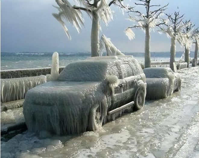 武漢下凍雨  比雪重十倍  路樹倒塌成災