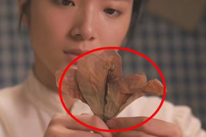 木棉花「花葉永不相見」等意象，也都成為影迷反覆解讀的內容。圖/取自劇照