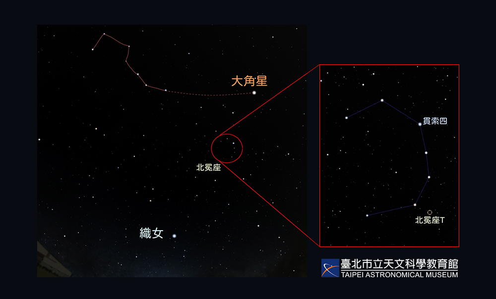 4北冕座T的位置。圖/取自台北市天文館官網