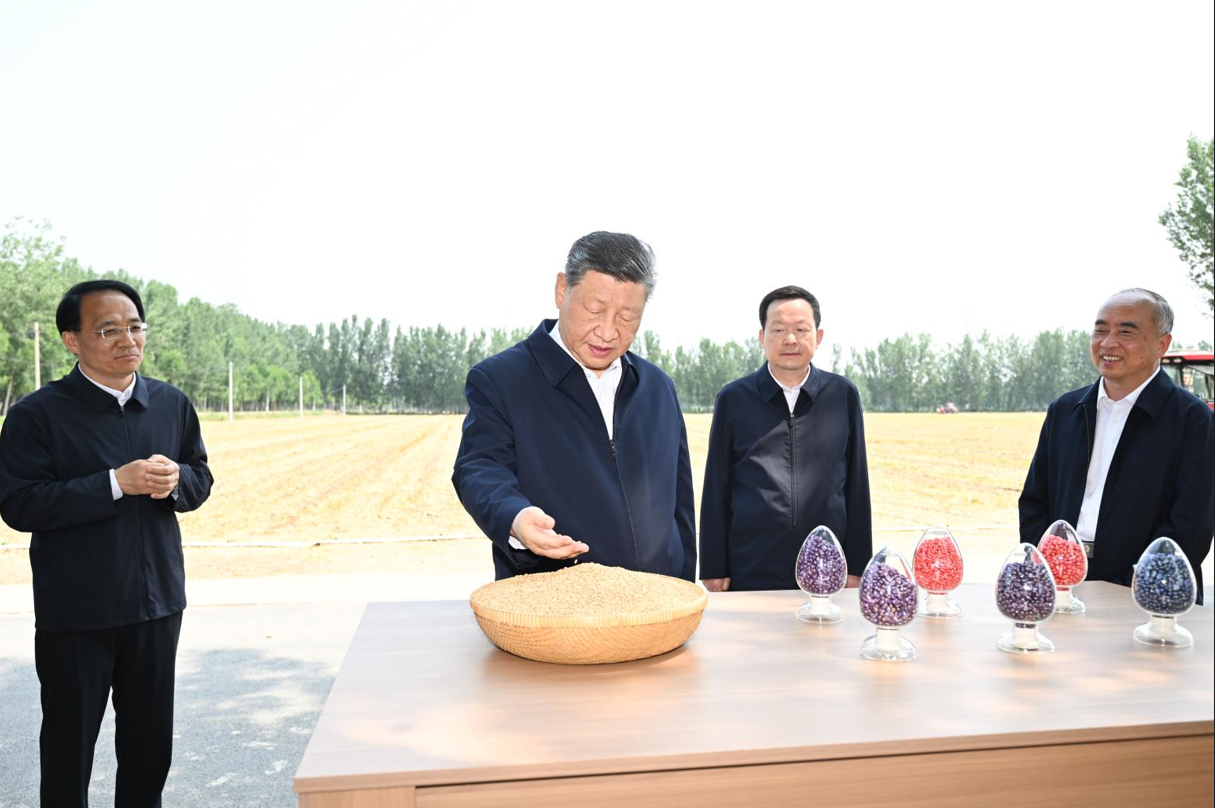 大陸夏糧產量創新高　農業專家在「求是網」示警：糧食緊張會長期存在