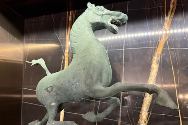 春聯「馬踏飛燕」釀踩盧秀燕？蔡正元斥綠不懂文化