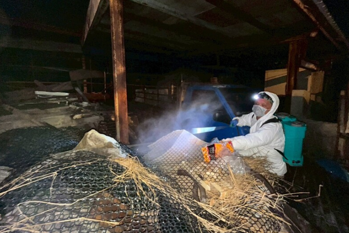 非洲豬瘟案場兩度消毒仍檢出陽性 國軍出動化學兵協助清消