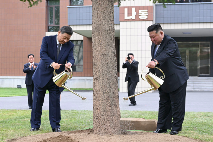 習近平與金正恩種下被視為中朝友誼長存的「樅樹」，並一起培土、澆水。圖/取自新華社