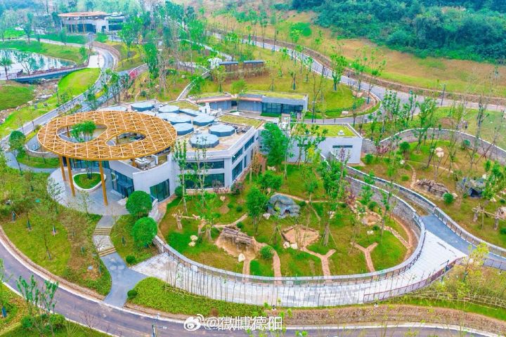 綿陽基地位於綿陽科技城新區鼓樓山生態公園，佔地約120公頃。圖/取自中國大貓熊保護研究中心