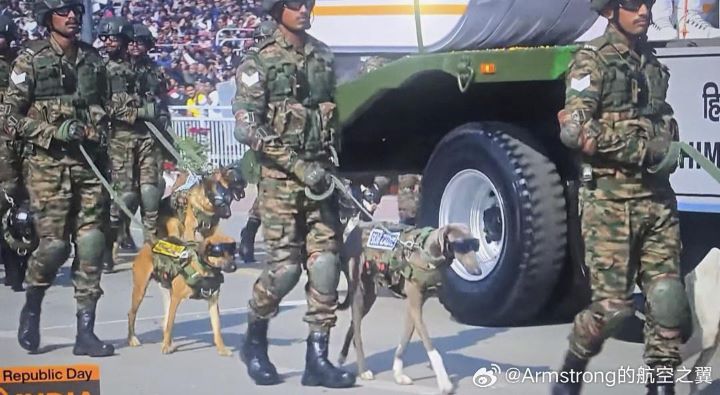 印度閱兵式,從駱駝、馬匹到猛禽與軍犬,這些動物不只是表演,更是真實參與邊境巡防與救援任務的成員。圖/取自Armstrong的航空之翼微博