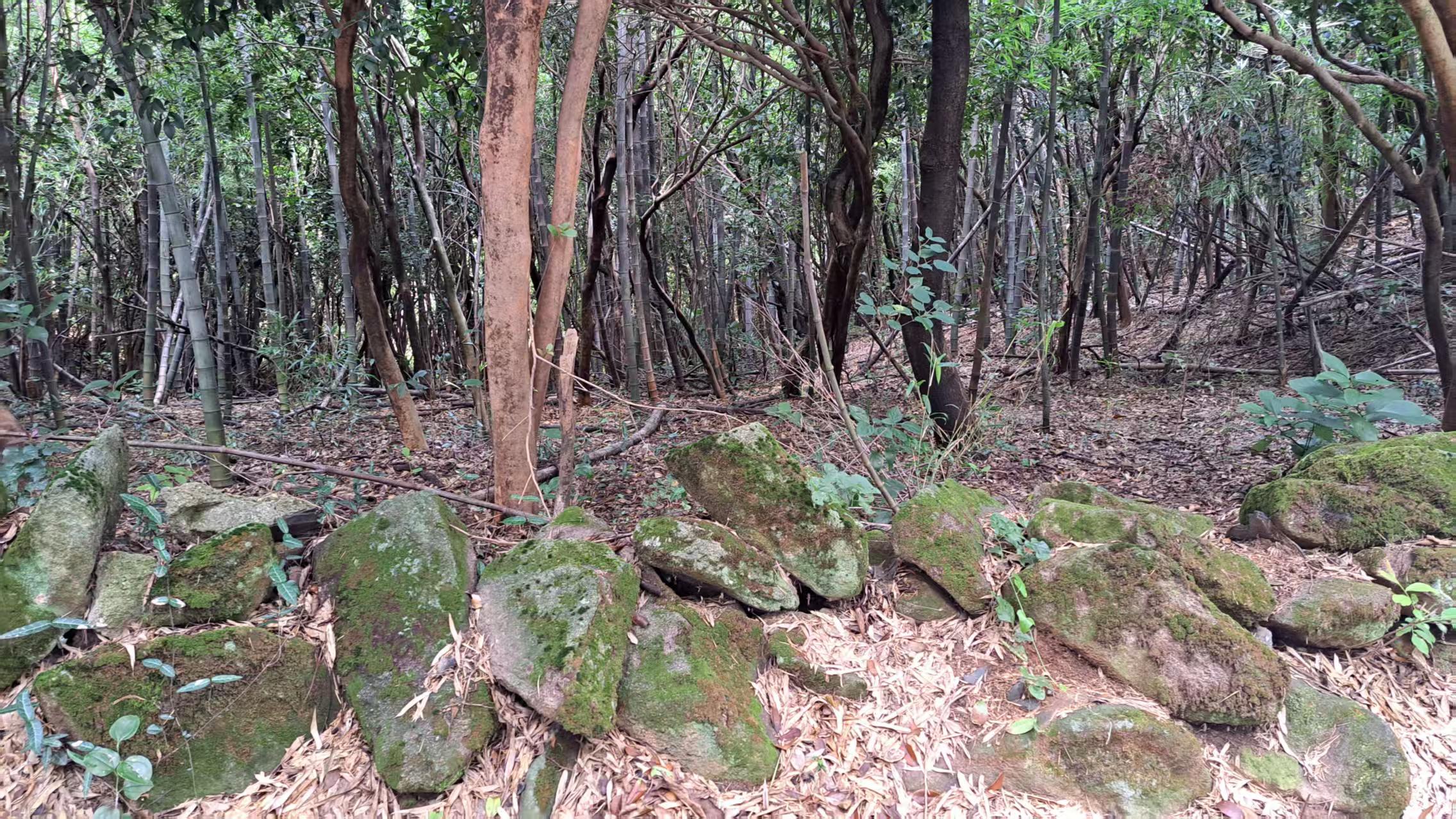 長沙會戰時，國軍在湖南影珠山構築的防禦工事綿延7公里。圖／記者宋秉忠攝