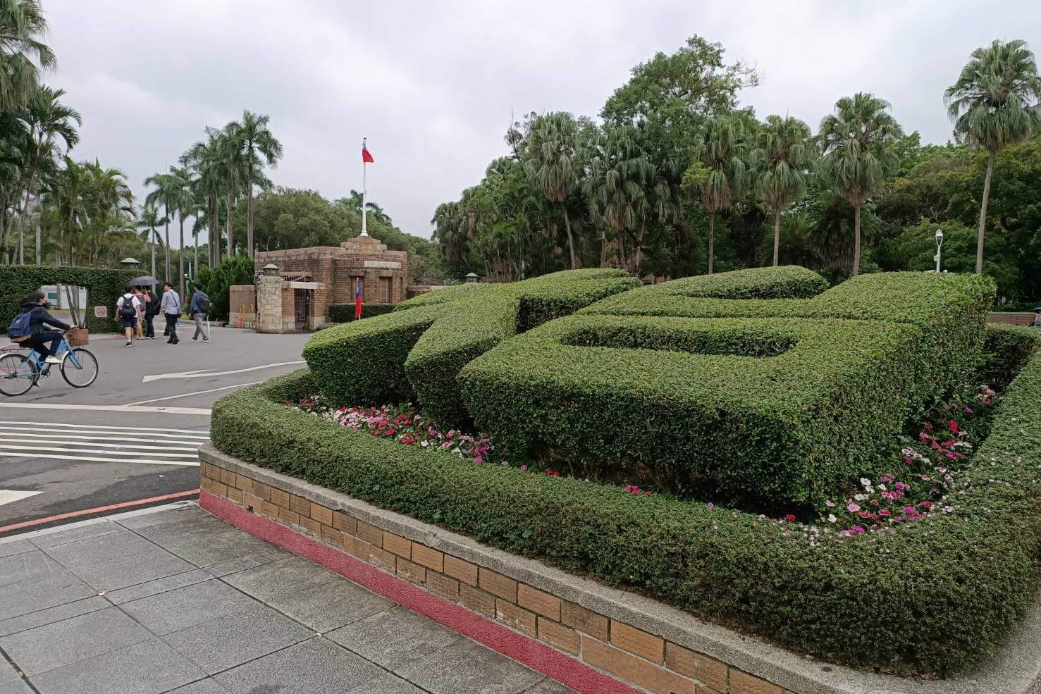 台大世界排名還低於馬來亞大學  台媒集體裝鴕鳥有用嗎