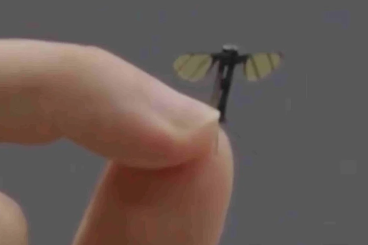 國防科大研究生梁賀翔中展示這款微型仿生無人機，他用兩指便可輕鬆捏起。圖／取自新浪網