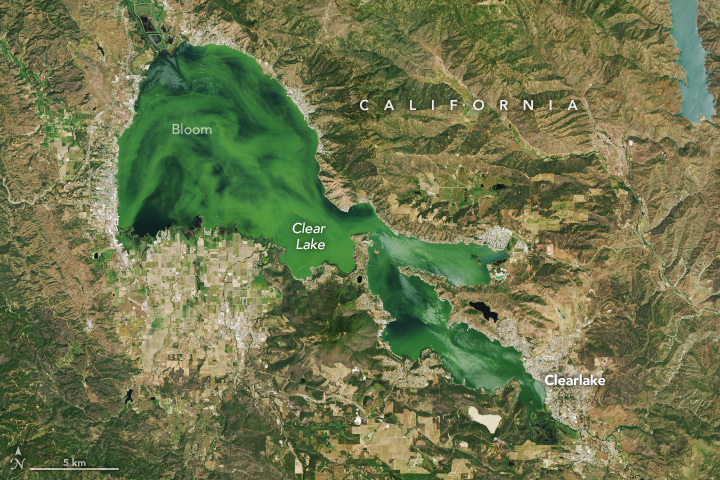 衛星照驚見加州最大淡水湖綠如翡翠　恐已遭劇毒藻類大量滋生