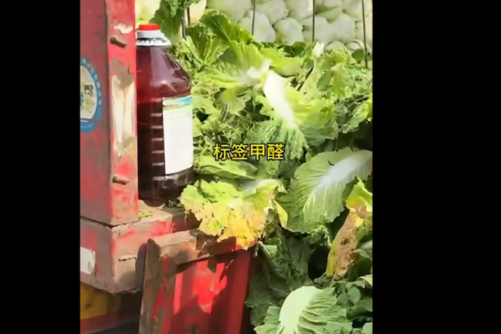 白菜竟蘸甲醛保鮮！河北爆「毒白菜」　官方證實違法急追流向