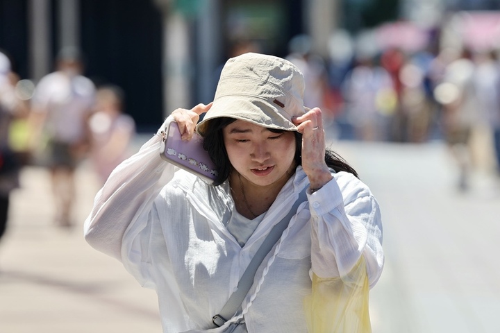 東北季風增強　嘉義以北今明低溫探14度