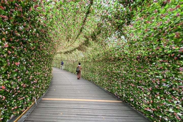 白天仍偏熱勤補水防曬　薔琵已成強颱不排除直撲台灣