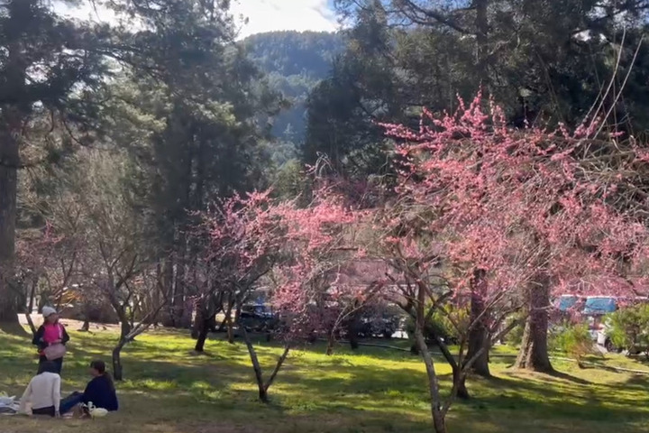 各地多雲到晴溫暖舒適　中部以北周二起轉濕冷