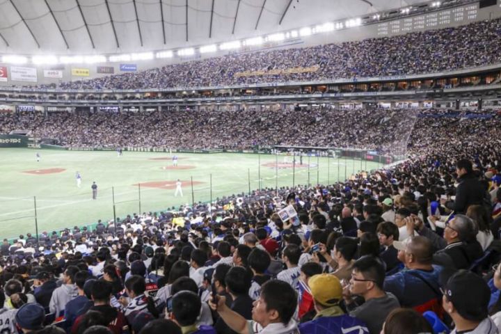 WBC東京預賽門票開賣秒殺　逾47萬人搶票  系統塞爆