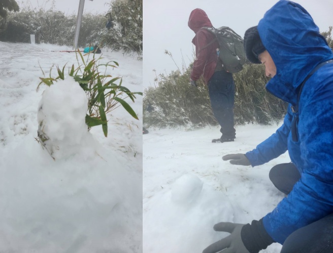 面天山因箭竹被雪壓彎較難抵達，成為陽明山賞雪秘境。圖/讀者提供