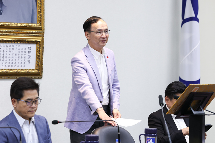 【梅花專論】國民黨主席:眾裏尋他千百度 那人卻在燈火闌珊處