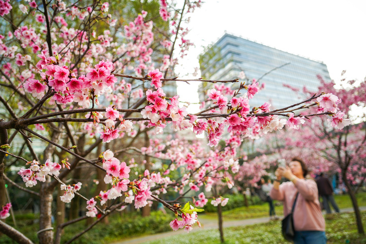 連假最後一天各地日夜溫差大　中南部高溫上看30度
