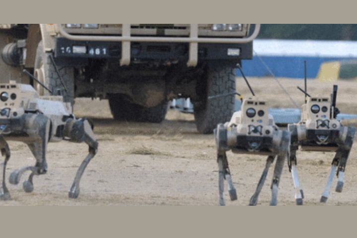 「機器狼群」的成員分工明確配合「無人機蜂群」協同作戰演習。圖/取自央視畫面