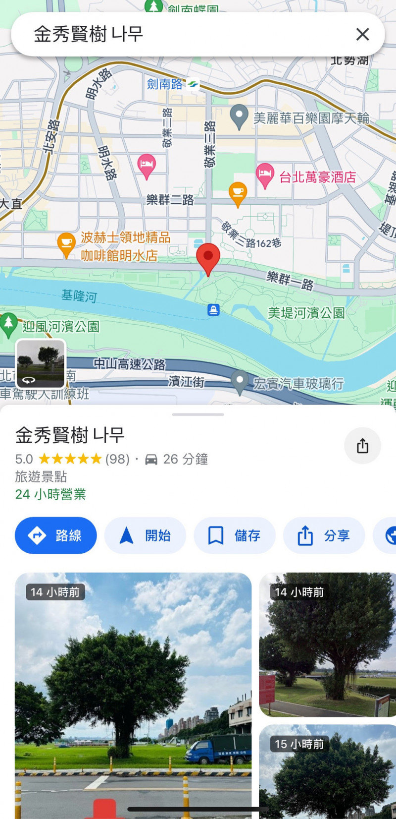 粉絲在google map上自創金秀賢樹打卡景點。圖/取自google map