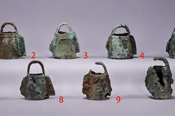 部分野生動物頸部仍掛有銅鈴,顯示這些動物並非臨時狩獵所得,而是由商王或高階貴族長期圈養、管理的珍禽異獸。圖/取自《河南日報》影片