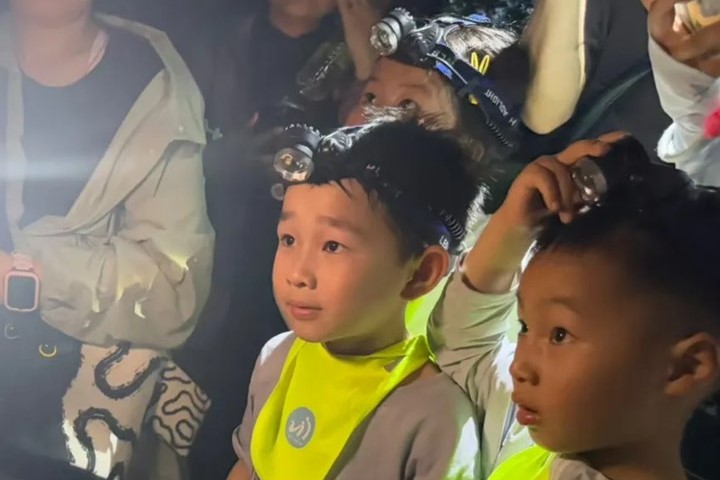 上海公園夜遊爆紅 親近自然得「搶票」相對考驗生態