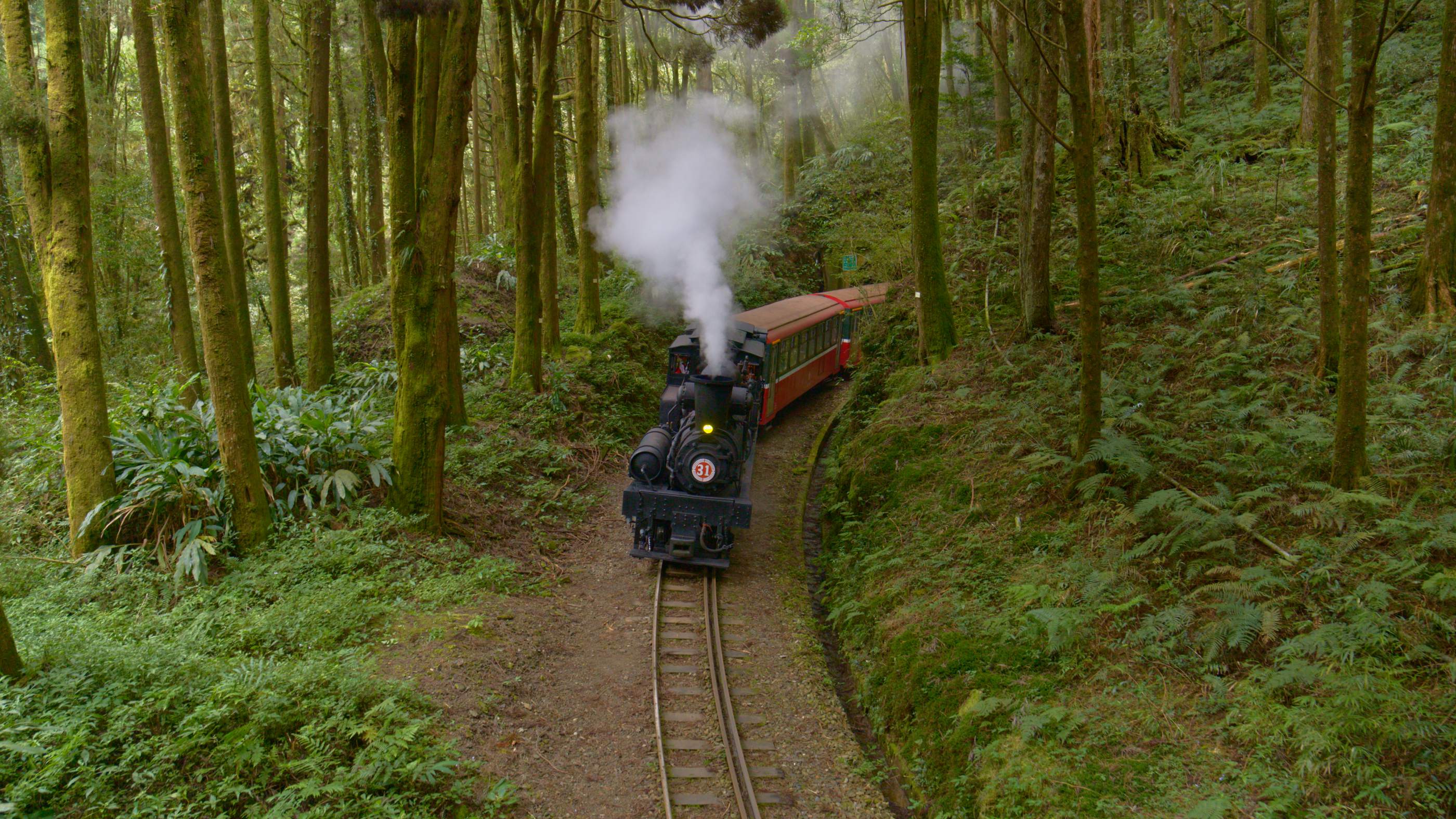 公視紀錄片《神木之森：阿里山森林鐵道紀行》，空拍阿里山林鐵 蒸汽火車頭在森林間行駛畫面。圖/公視提供
