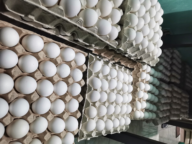 原本說春節之前不漲的蛋價，卻突然調漲了。圖/取自Fresh Eggs《臉書》粉專