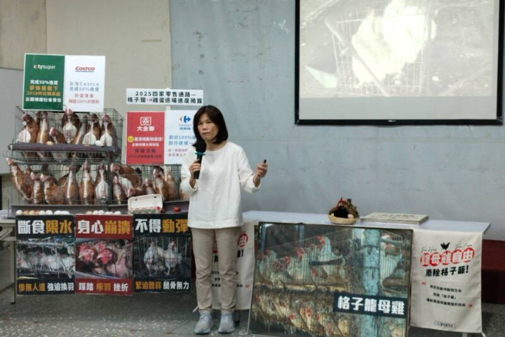 動保團體批全聯最漠視動物處境　非籠飼雞蛋占比最低