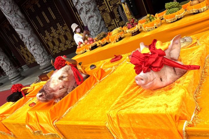 台灣代表團依禮舉行傳統「三獻禮」儀式獻上豬、牛、羊等貢品。圖/記者陳素貞攝