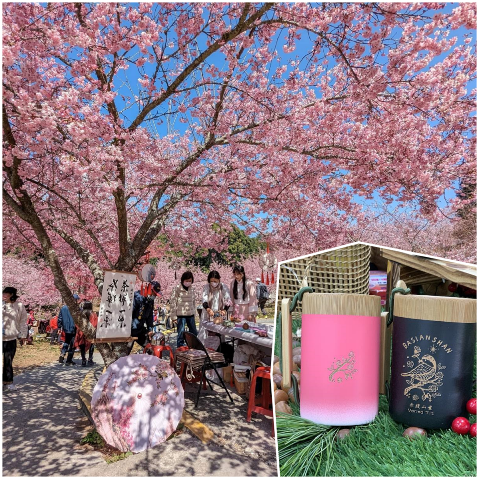 櫻花季超浪漫 千櫻園漢服茶席體驗 八仙山櫻花限定杯
